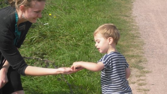 Ward Activity: gathering blackberries by the beach. It was, as you can imagine, completely amazing.
